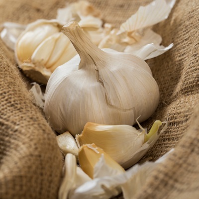 Garlic and Cholesterol Health