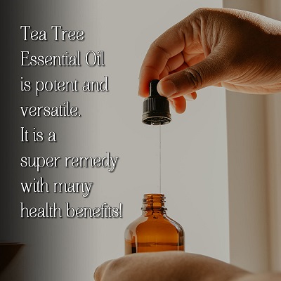 The Potent and Healing Benefits of Tea Tree Essential Oil