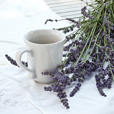 The Magic of Lavender