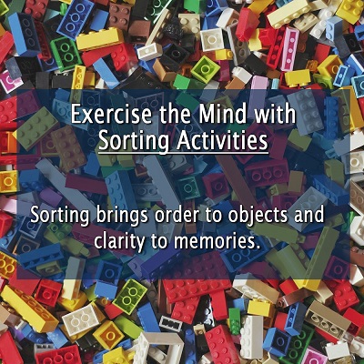 Exercise the Mind with Sorting Activities